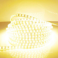 60leds / m 5050SMD LED 5050 impermeável IP67 AC 220V LED luz Strip com ficha de alimentação